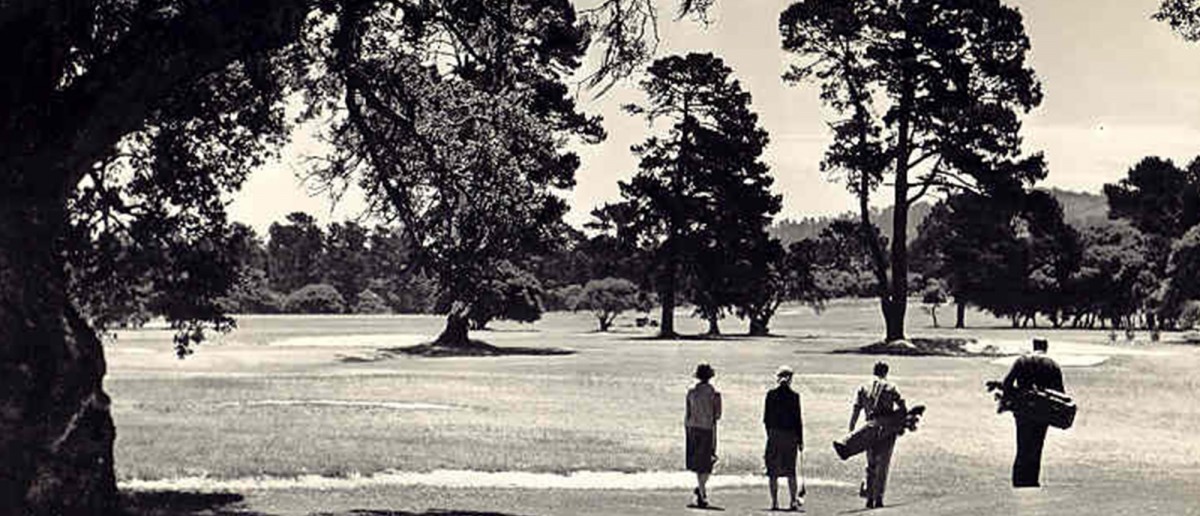 Four golfers walking on course